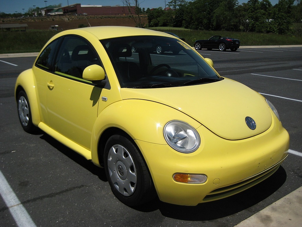 Yellow bug.jpg