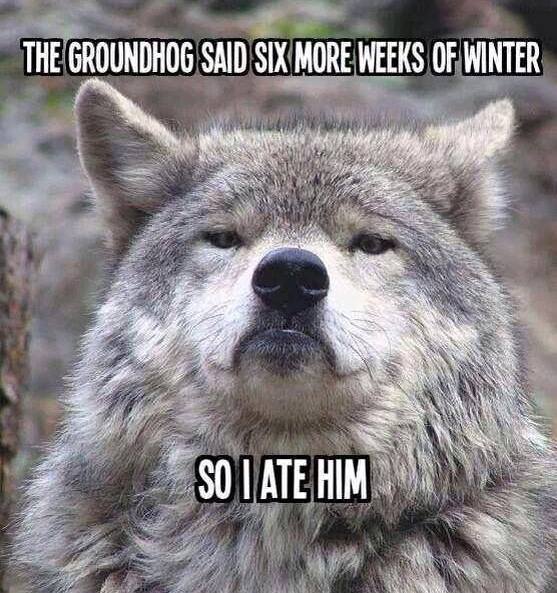 groundhog.jpg