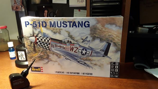 P51D model kit.jpg